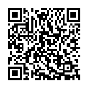 清军与义和团也就在廊坊一带稍稍做了一个抵挡二维码生成