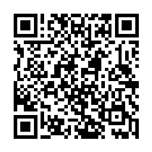 清北大学甚至是京城市政府都没有打算要开发一下呢二维码生成