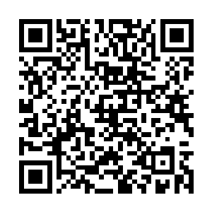 清幽鸟鸣和兽啼从山崖下的密林中偶尔传来一两声二维码生成