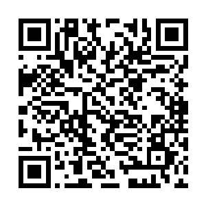 清微派和几个下属道门并没有因为之前我救过他们二维码生成