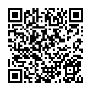 清心老道将一根木柴放入到熊熊燃烧的篝火当中二维码生成