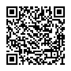 清晨的第一缕阳光依次从公侯街东侧的定远侯府二维码生成