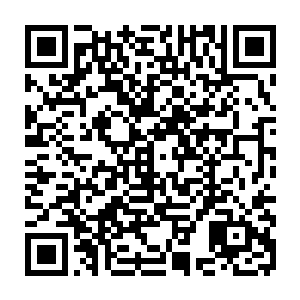 清楚丈夫已经深入土耳其边境线的向婉一直坐在自己那个保密性极高的工作间里二维码生成