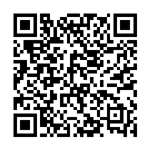 清江市和朝阳县的两级接待工作小组就进驻了开发区二维码生成