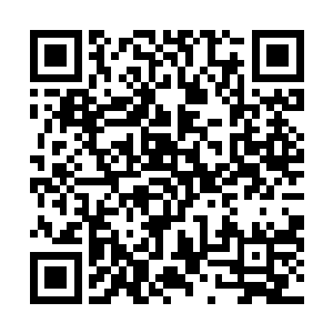 清溪只是不愿皇上借以给恪王爷诊治的借口徒造杀孽罢了二维码生成