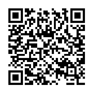 清灵的眸子在夜色下显现出平时惯有状态下的安静二维码生成