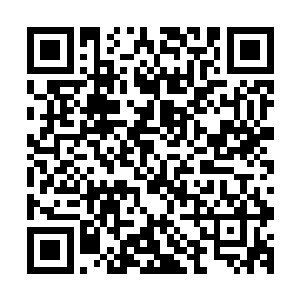 清虚门和流云宗已经将无极宗和灵武电宗放在了平等的位置上二维码生成