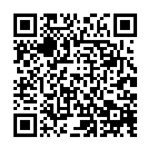 渐渐地许紫烟三个人已经看到了处于激战之中的十个人影二维码生成