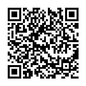 渐渐按照自己的吸收速度来控制炼化愿力珠的速度二维码生成