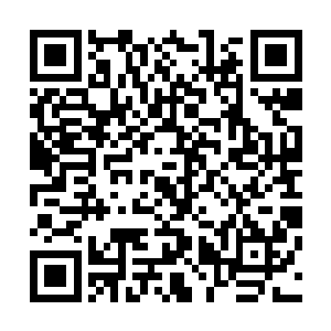 渐渐的在雷兽的身边也形成了一个直径十米多的巨大的漩涡二维码生成