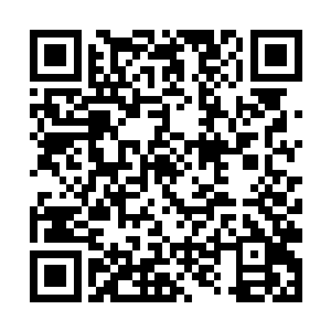 温暖的感觉从东黎墨的手上直接传到了白芷璃的全身二维码生成