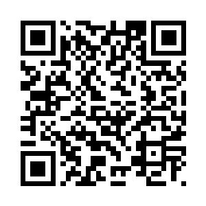 港口运输以及海鲜批发出口等生意二维码生成