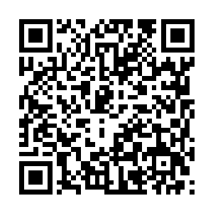 渴望就像上次一样什么都不想静静靠在他的肩膀上二维码生成