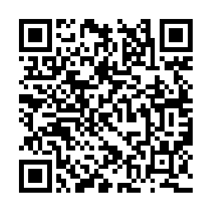 渴求一战的眼中转为不可置信的惊恐以及绝望之色二维码生成