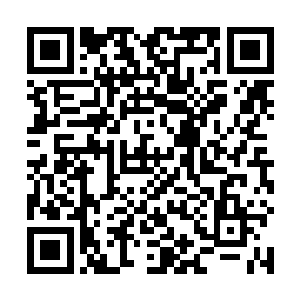 游隼通过一个熟悉的佣兵联系上了那个负责偷渡的蛇头二维码生成