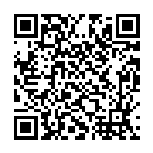 湘姑娘心满意足得带着三百万龙鳞抽取出来的龙精走了二维码生成