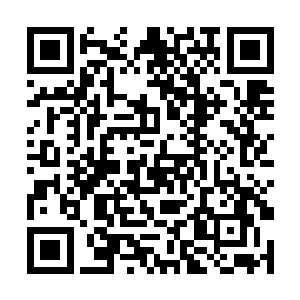 湘西宫现在还不晓得代离跟柳红袖又特么是肿么回事二维码生成