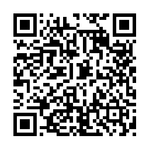 湘阴王就将她安顿在了这里…………是个很柔弱二维码生成