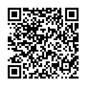 湛天丞心中顿时有了一种从天上陡然坠地的感觉二维码生成