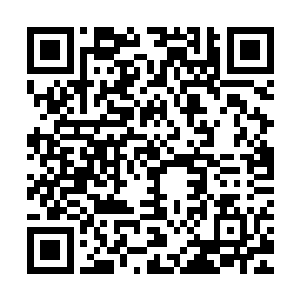 湿婆也是有些心惊的……以他此刻差不多武帝后期的狂暴战斗力二维码生成