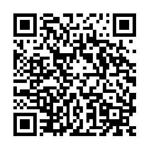 滑了不到半米的距离卡森顿时觉得自己的屁股上被什么顶了一下二维码生成