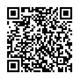 满天的藤蔓直接化作一条条血蟒朝着赤焰大帝的身边呼啸而来二维码生成