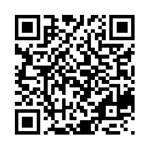 满心期盼着纪妤也张口吩咐她放下花盆二维码生成