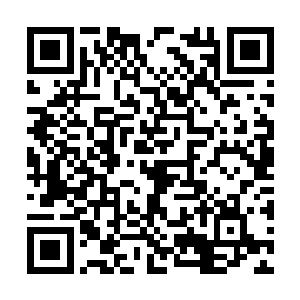 满都达鲁看到好几队的王府私兵已经围住了这附近二维码生成