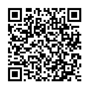 漂亮的眼睛一眨不眨的紧盯着站在面前比她高上一头的秦倚天二维码生成