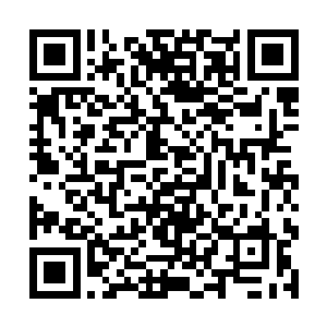 演员走不出角色神经衰弱或者是抑郁症都是很正常的二维码生成