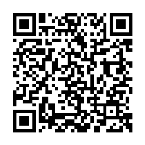 演技奖项的得奖者却往往会陷入奥斯卡魔咒之中二维码生成