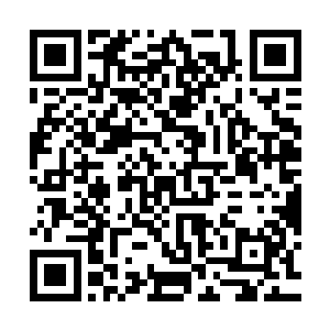 漫天的棍影也是瞬间铺天盖地的狠狠的朝着杨戬的身上倾泻而来二维码生成