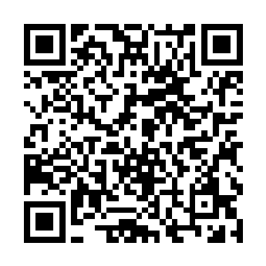 潇洒落在冬雷骑军和那支小队江湖高手之间的空地上二维码生成