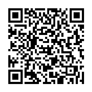 潜龙战队跟在苏凡的身边实力什么的自然不会太差二维码生成