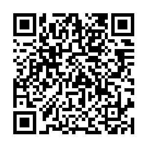潜龙王国的几名强者都不知紫青剑灵本源力量的强大二维码生成