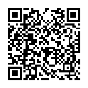 火云果瞬间化为庞大的火属性能量在韩风体内乱窜二维码生成