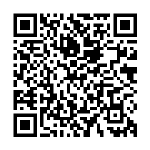 火力布置这些基本的军队战术问题已经由班排长开始往下面灌输二维码生成