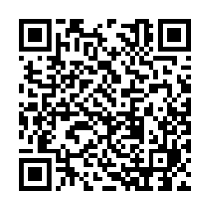 火圣直系的一些子嗣与支持者们纷纷劝说明天再比二维码生成