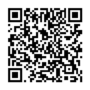 火焰之精华在最短的时间内以最暴烈的姿态绽放二维码生成