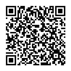 火焰帝国的那些人一个个非常崇拜的看着那些禁卫军和那几个高手二维码生成