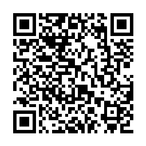 火焰花瓣和倒刺青藤组成了令人惊骇的炼狱场景二维码生成