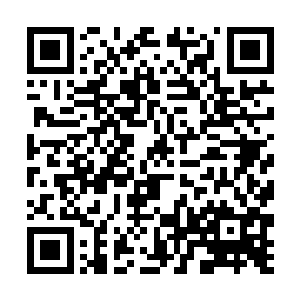 火精炎莲的种子对于龙豪这样的火龙一定大有裨益…二维码生成