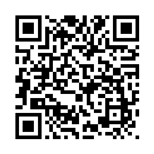 火红的太阳最终还是坠落到了海里二维码生成