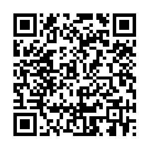 火络皇和影族大妖王明显被方运的行为和话语触动二维码生成