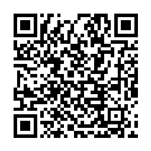 灰团子来了以后凌菲让它在附近水域低空巡视几个来回二维码生成