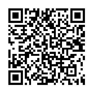 灰雾女士原本就呈现死灰色的面孔变得愈发惨白二维码生成