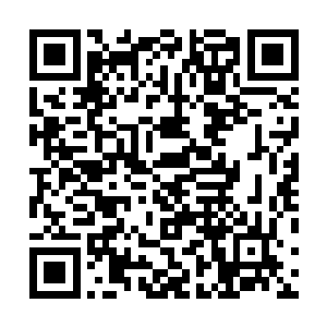 灰雾女士已经在他们面前的白墙上投射出一道巨大的屏幕二维码生成