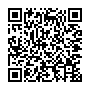 灰鳞老长老在看到严默画出正确答案并通过第一道光门后二维码生成