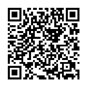 灵土土再次使出一道力量修复了石巨人的心脏伤口二维码生成