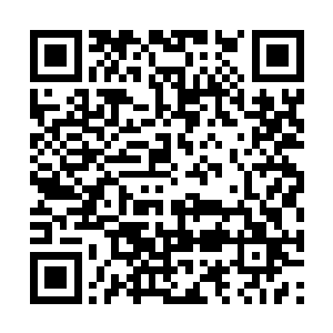 灵天小和尚此刻的心情真是已经快要愤怒到了极点二维码生成